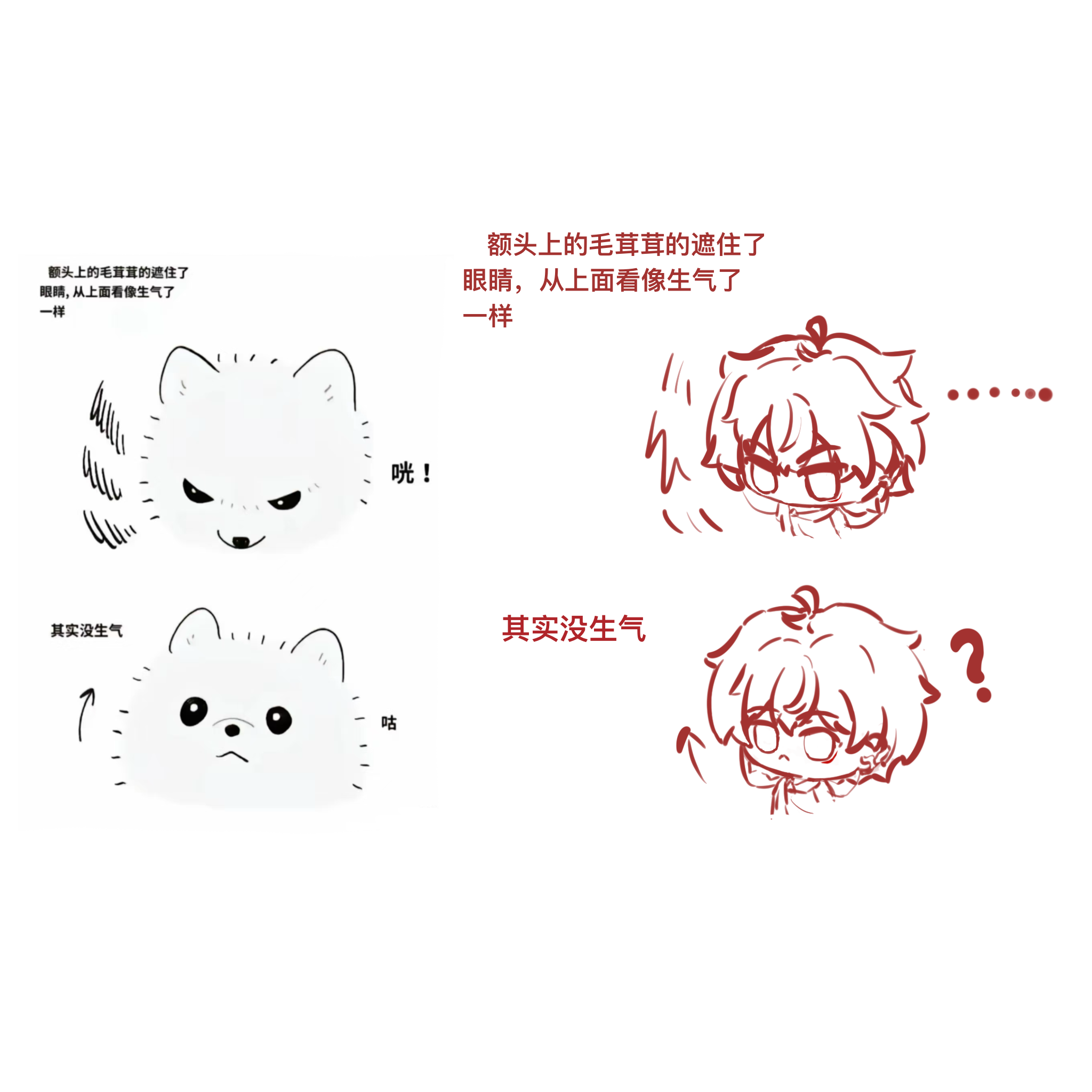 头发毛茸茸的遮住了眼睛，从上往下看恒咪好像生气了，其实没生气-小星球